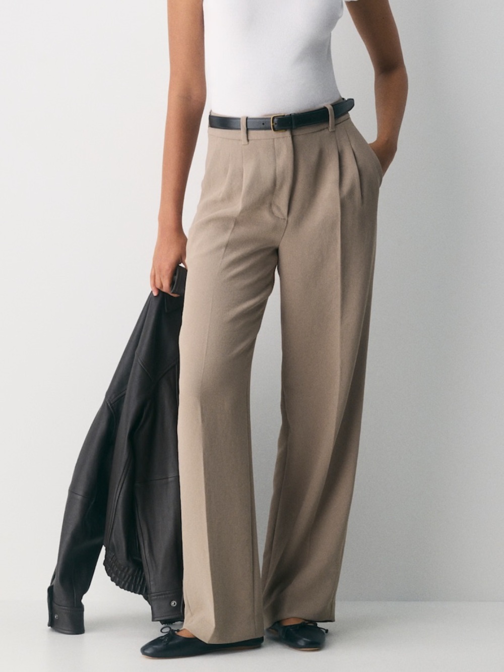 Aritzia Wide-Leg Pleated Trousers in Taupe